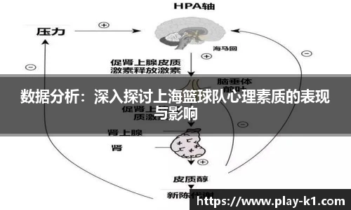 数据分析：深入探讨上海篮球队心理素质的表现与影响